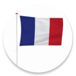 Logo of French to English Mega Translator android Application 