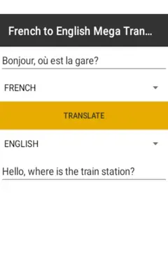 French to English Mega Translator android App screenshot 3